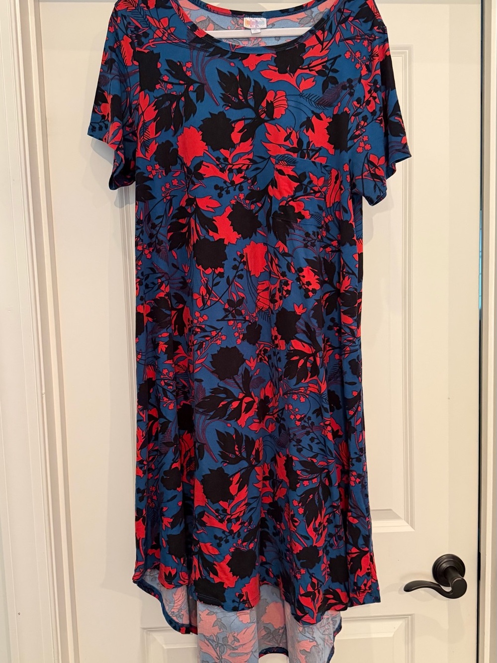 LuLaRoe Blue Dress with Red & Black Floral Print